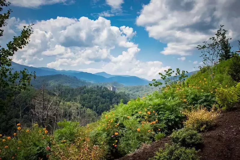 view of the smoky mountains