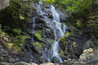 cataract falls